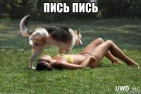 пись пись 