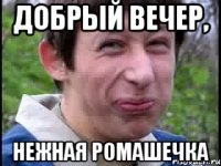 Добрый вечер, нежная ромашечка