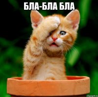 бла-бла бла 