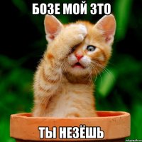бозе мой зто ты незёшь