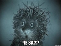 ЧЕ ЗА??
