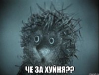  ЧЕ ЗА ХУЙНЯ??