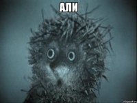 АЛИ 