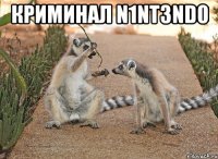 Криминал N1NT3ND0 