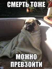 СМЕРТЬ ТОЖЕ МОЖНО ПРЕВЗОЙТИ
