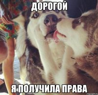 дорогой я получила права