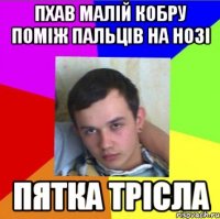 пхав малій кобру поміж пальців на нозі пятка трісла