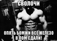 СВОЛОЧИ опять бомжи всё железо в лом сдали!