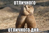 отличного отличного дня...