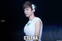  стерва.