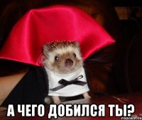  а чего добился ты?
