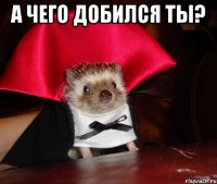 а чего добился ты? 
