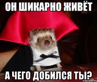 он шикарно живёт а чего добился ты?