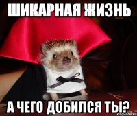 шикарная жизнь а чего добился ты?