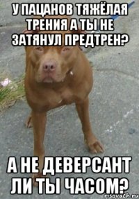 У пацанов тяжёлая трения а ты не затянул предтрен? А не деверсант ли ты часом?