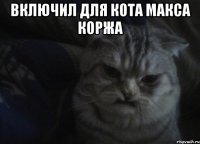 включил для кота макса коржа 