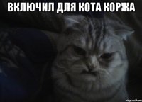 включил для кота коржа 