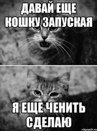 давай еще кошку запуская я еще ченить сделаю