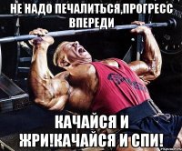НЕ НАДО ПЕЧАЛИТЬСЯ,ПРОГРЕСС ВПЕРЕДИ КАЧАЙСЯ И ЖРИ!КАЧАЙСЯ И СПИ!