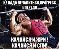 НЕ НАДО ПЕЧАЛИТЬСЯ,ПРОГРЕСС ВПЕРЕДИ КАЧАЙСЯ И ЖРИ ! КАЧАЙСЯ И СПИ!