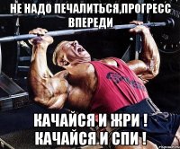 НЕ НАДО ПЕЧАЛИТЬСЯ,ПРОГРЕСС ВПЕРЕДИ КАЧАЙСЯ И ЖРИ ! КАЧАЙСЯ И СПИ !