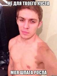 Не для твоего куста Моя шпага росла