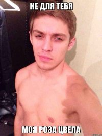 Не для тебя Моя роза цвела