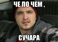 Че по чем , Сучара