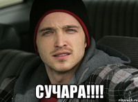  СУЧАРА!!!!