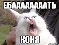 ЕБААААААААТЬ КОНЯ