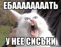 ЕБААААААААТЬ У НЕЕ СИСЬКИ