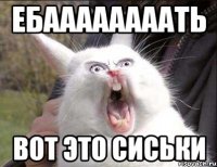 ЕБААААААААТЬ ВОТ ЭТО СИСЬКИ
