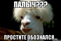 палыч??? простите обознался...