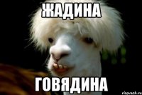 жадина говядина