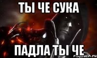 Ты че сука падла ты че