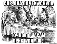 сир, она почти уснула точно по часам, приступим же!