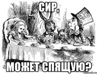сир, может спящую?