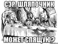 сэр, Шляпочник может спящую?