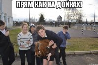 Прям как на Дойках! 