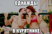 однажды в курятнике
