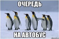 очередь на автобус