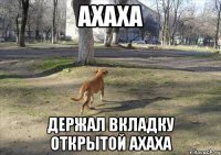 Ахаха держал вкладку открытой ахаха