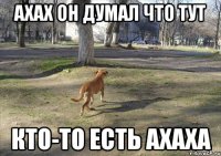 Ахах он думал что тут кто-то есть ахаха