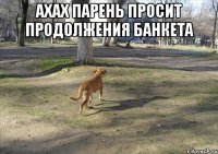 Ахах парень просит продолжения банкета 