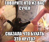 говорите кто из вас сучек сказала что бухать это круто?