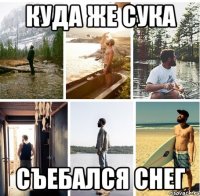 куда же сука съебался Снег