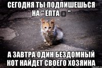 Сегодня ты Подпишешься на " ЁПТА ❤ " А ЗАВТРА Один бездомный кот найдет своего хозяина