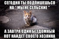 Сегодня ты Подпишешься на " Мы не сельские " А ЗАВТРА Один бездомный кот найдет своего хозяина