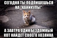 Сегодня ты Подпишешься на "Каникулы" А ЗАВТРА Один бездомный кот найдет своего хозяина