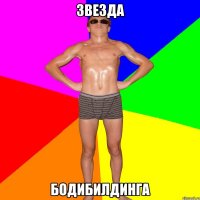 ЗВЕЗДА БОДИБИЛДИНГА